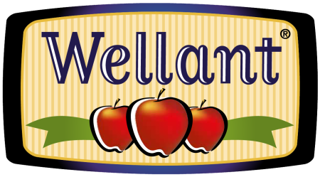 Logo Altländer Wellant
