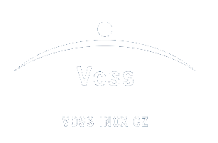 Voss Edelstahl Logo
