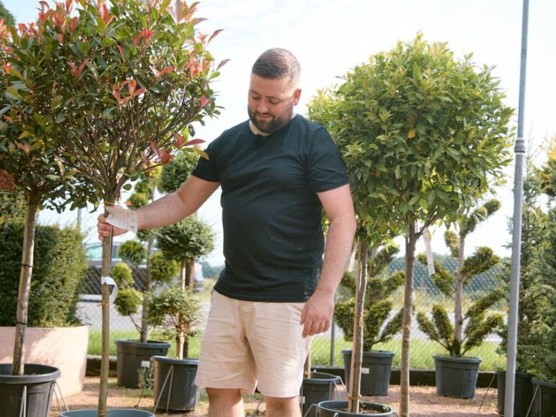 Geschäftsführer vom Gartencenter Westenberg mit einem Bäumchen in der Hand