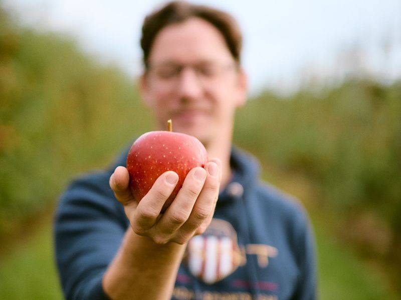 Der altländer Wellant Apfel