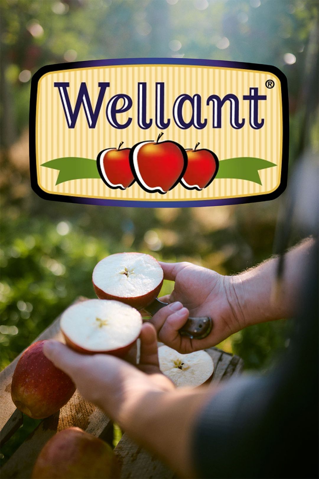 Halbierter roter Apfel bei Wellant