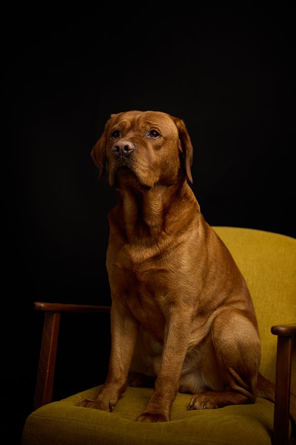 Bruno | ICH&ER